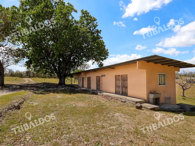 Venta de Granja con mejoras en San Carlos
