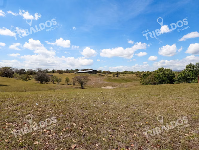Venta de Granja con mejoras en San Carlos