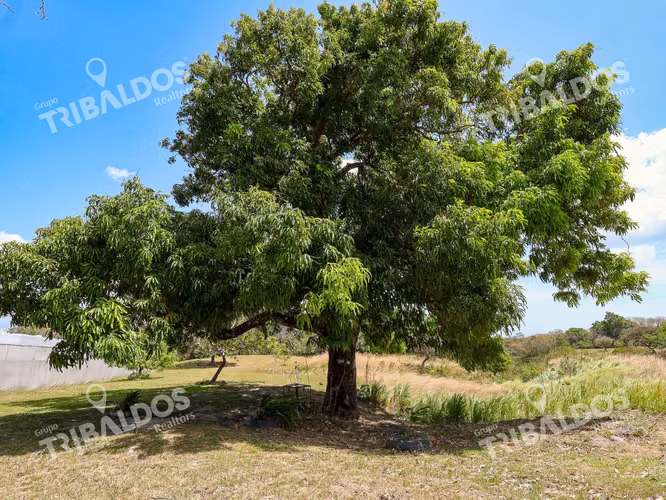 Venta de Granja con mejoras en San Carlos
