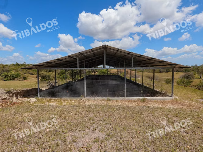 Venta de Granja con mejoras en San Carlos