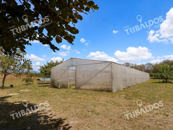 Venta de Granja con mejoras en San Carlos