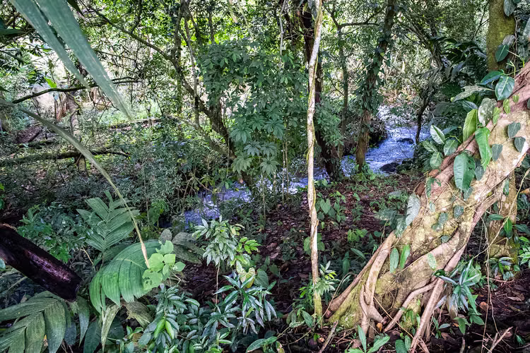 Terrenos en Potrerillos Abajo a pocos minutos de la vía principal