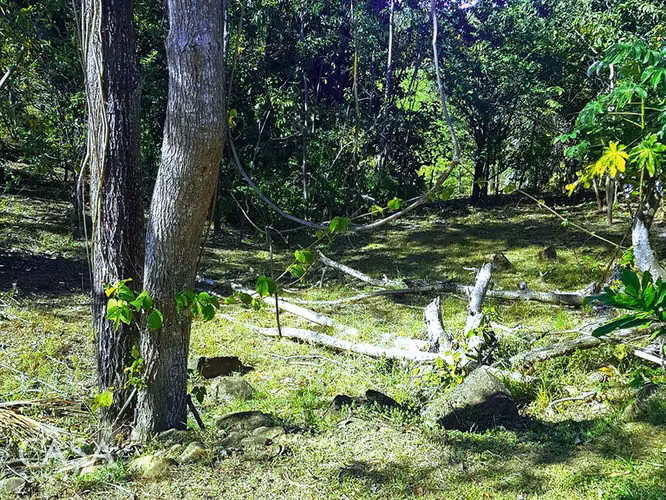 Dos Impresionantes Lotes en venta Con Vistas De 360 Grados En Boca Chica