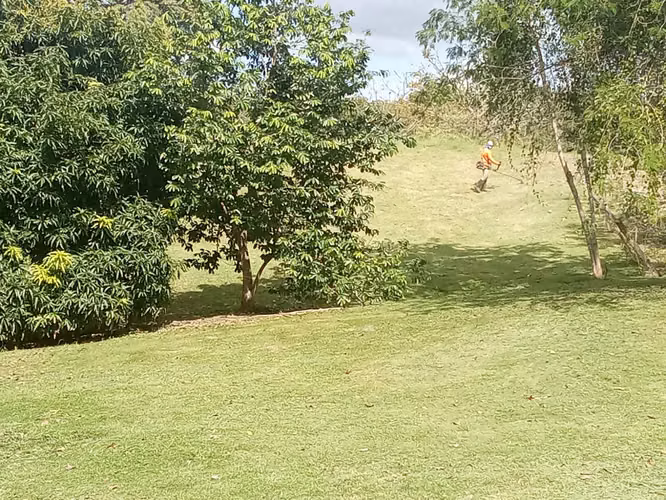 Venta de Terreno en San Carlos, Las Uvas, 2,858m² - Imagen 7