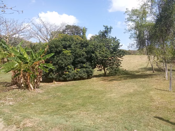 Venta de Terreno en San Carlos, Las Uvas, 2,858m² - Imagen 4