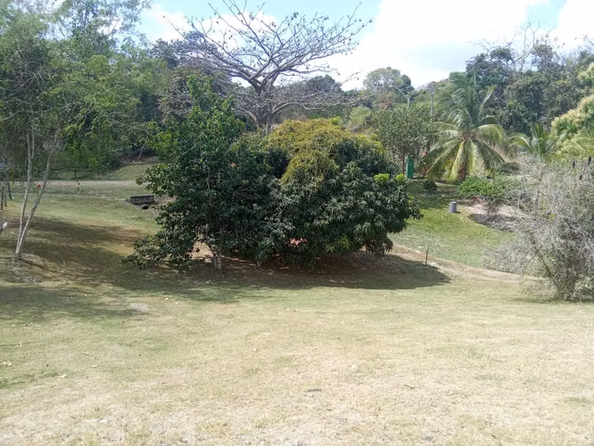 Venta de Terreno en San Carlos, Las Uvas, 2,858m² - Imagen 5