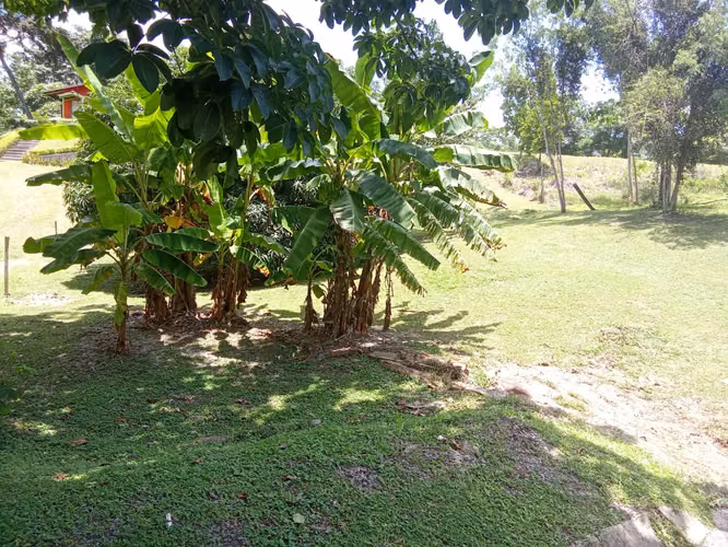Venta de Terreno en San Carlos, Las Uvas, 2,858m² - Imagen 9