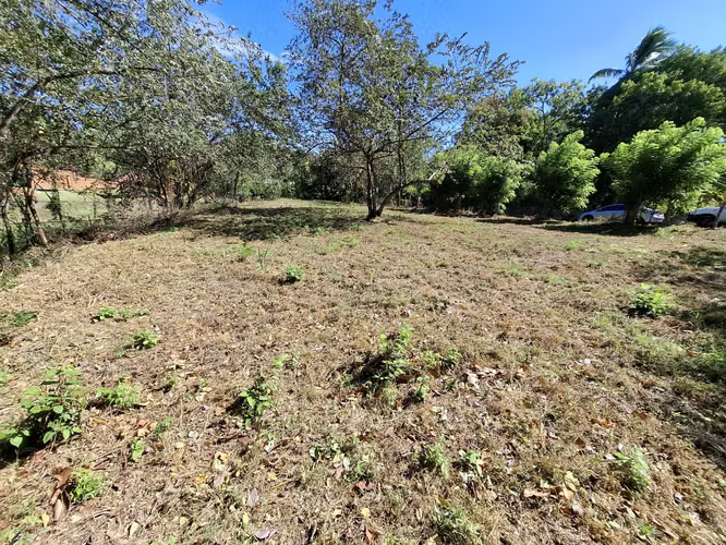 LAS UVAS DE SAN CARLOS TERRENO EN VENTA