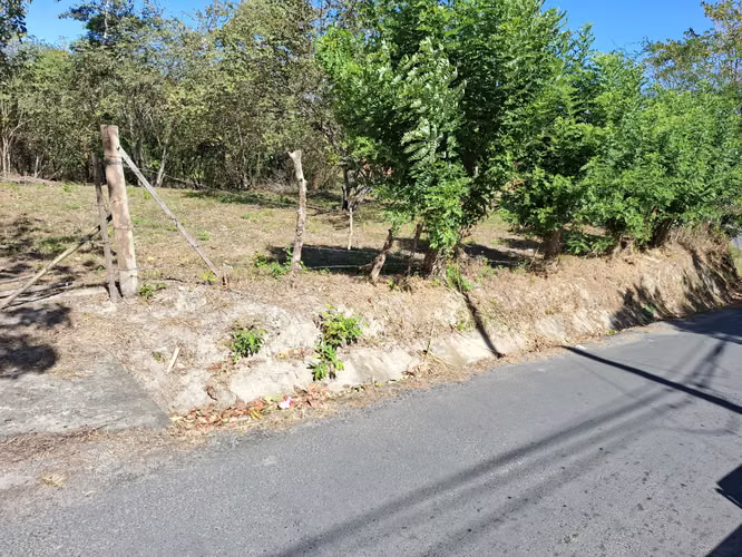 LAS UVAS DE SAN CARLOS TERRENO EN VENTA