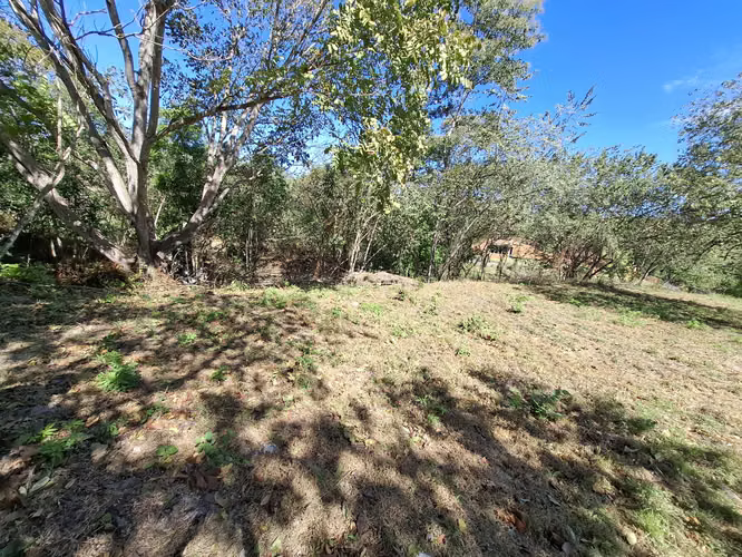 LAS UVAS DE SAN CARLOS TERRENO EN VENTA