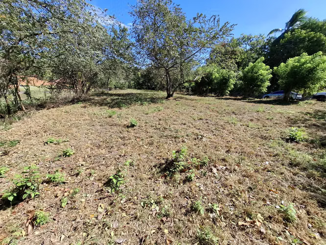 LAS UVAS DE SAN CARLOS TERRENO EN VENTA