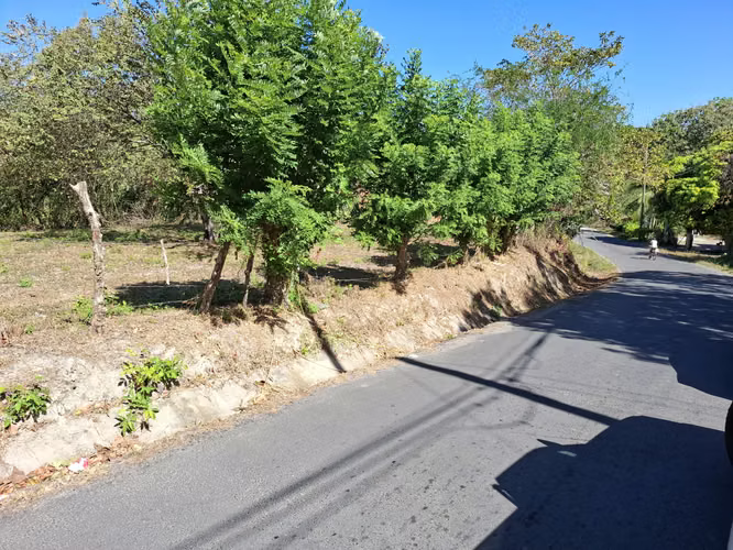 LAS UVAS DE SAN CARLOS TERRENO EN VENTA