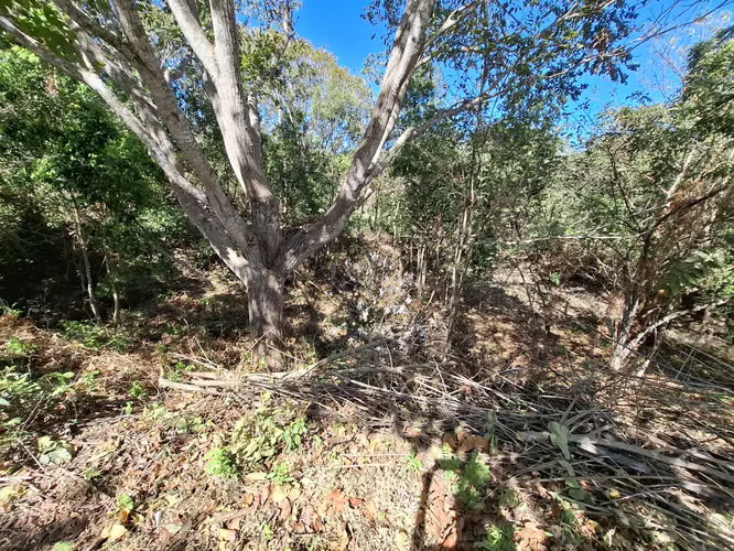 LAS UVAS DE SAN CARLOS TERRENO EN VENTA