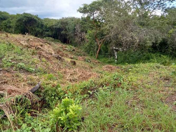 Venta de lote en San Carlos