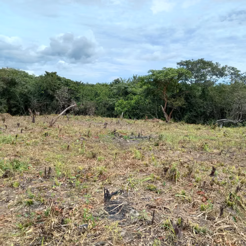 Venta de lote en San Carlos