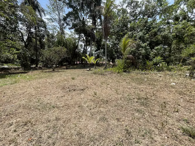 Venta de terreno en Vista Alegre Arraiján