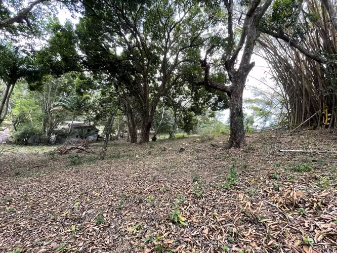 Venta de terreno en Vista Alegre Arraiján
