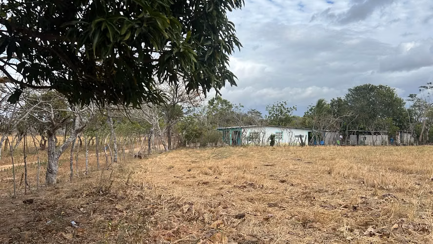 Finca en venta en El Caño, Natá | 1.5 hectareas planas por $41K