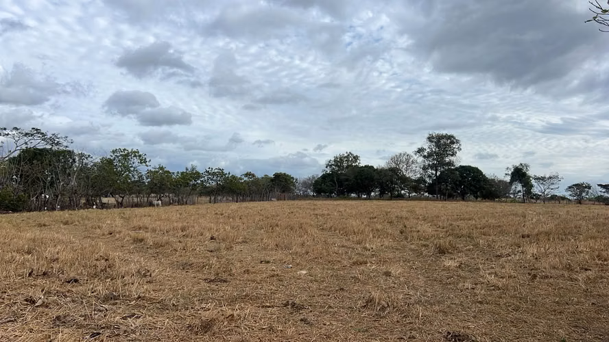 Finca en venta en El Caño, Natá | 1.5 hectareas planas por $41K