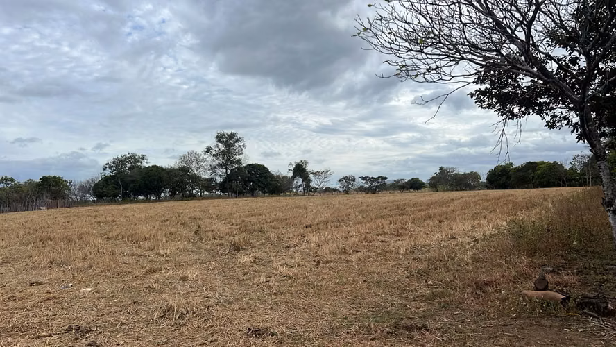 Finca en venta en El Caño, Natá | 1.5 hectareas planas por $41K