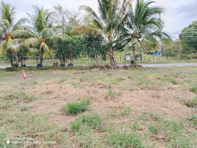 Terreno en venta