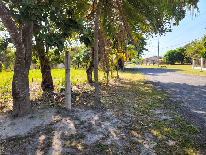 Se vende EN REMATE terreno en San Carlos