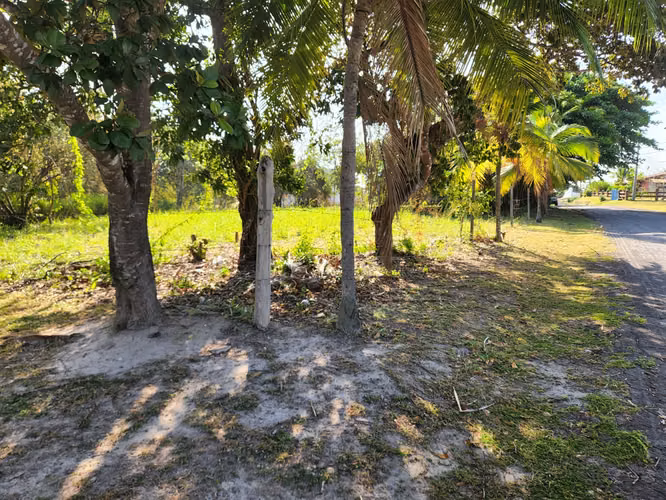 Se vende EN REMATE terreno en San Carlos