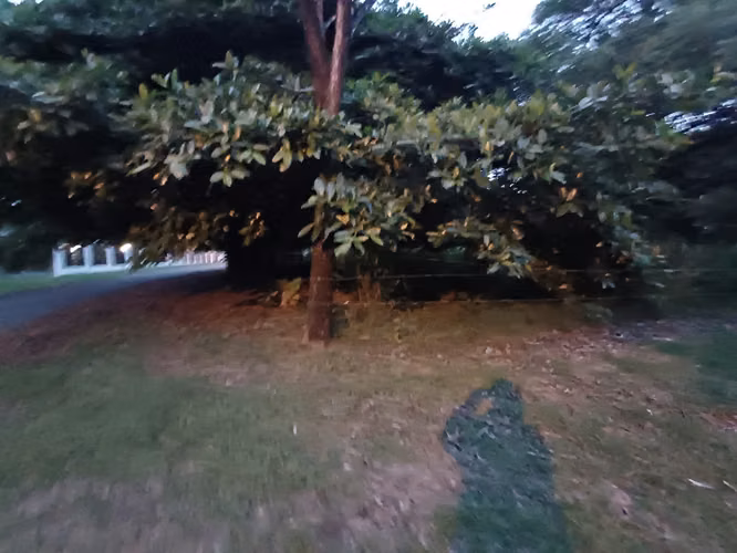 Se vende EN REMATE terreno en San Carlos