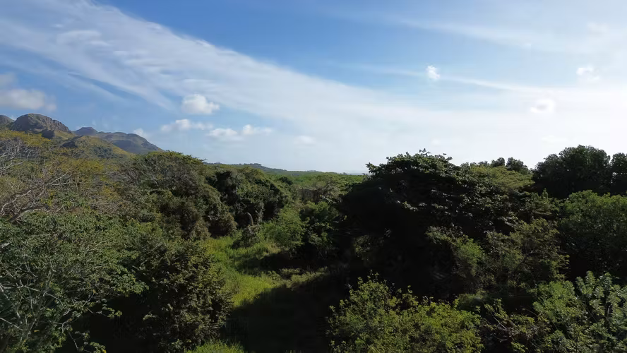 Chame, Nueva Gorgona