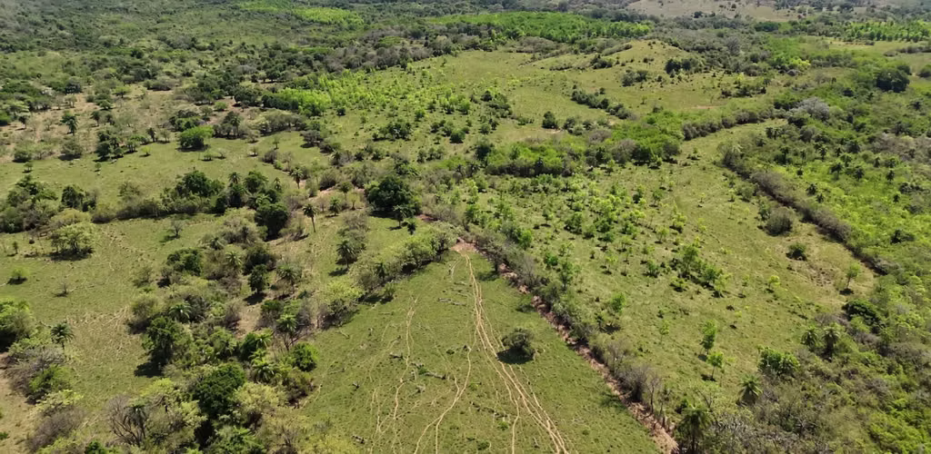 Se vende: 58.7 ha – segregaciones posibles – $8,000/ha – negociables – La Mesa, Veraguas - Imagen 6