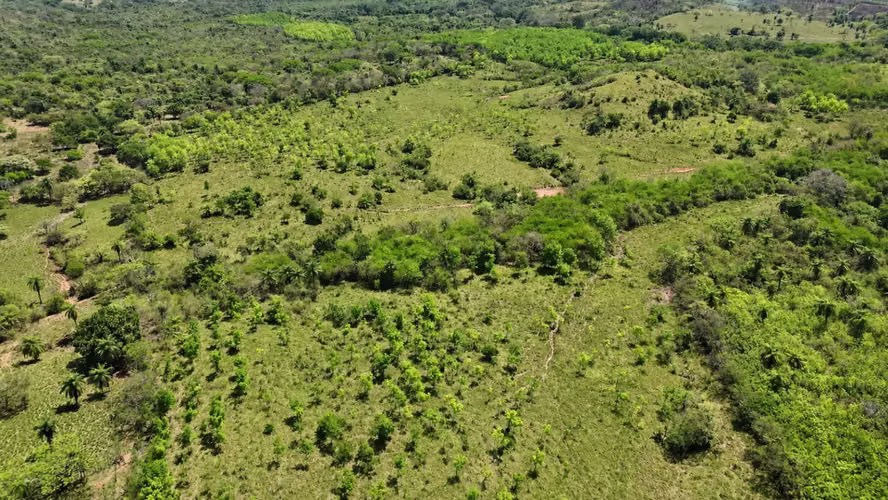 Se vende: 58.7 ha – segregaciones posibles – $8,000/ha – negociables – La Mesa, Veraguas - Imagen 5
