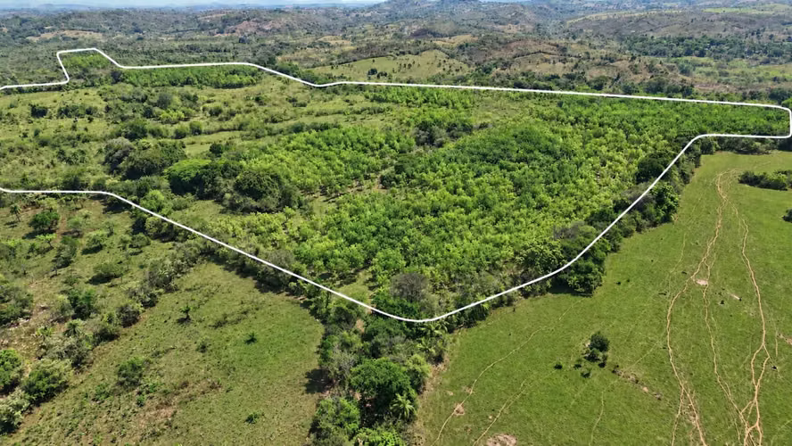 Se vende: 58.7 ha – segregaciones posibles – $8,000/ha – negociables – La Mesa, Veraguas - Imagen 3