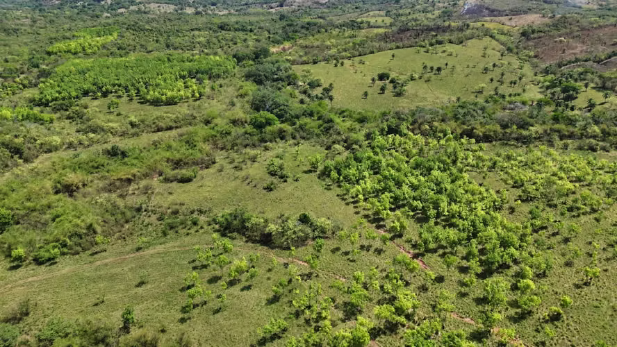 Se vende: 58.7 ha – segregaciones posibles – $8,000/ha – negociables – La Mesa, Veraguas - Imagen 4