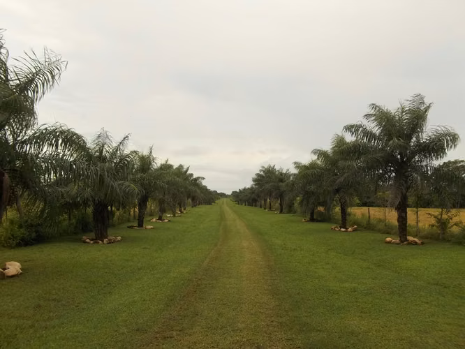 Venta de Finca en Pedasí - Los Destiladeros