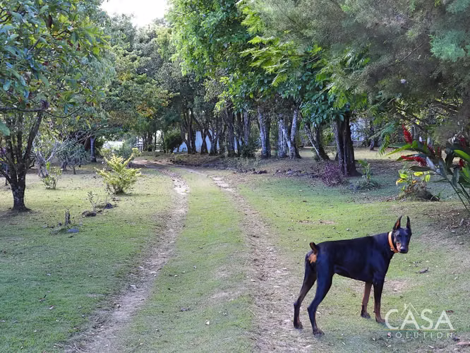 Finca Campestre De 5.5 Acres Con Múltiples Edificaciones En Venta Cerca De Boquete