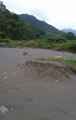 Venta de Finca en Tonosí, Playa Cambutal, 190 hectáreas