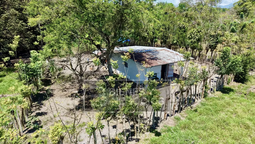 Finca en Chiriqui, Alanje, 50.6 hectáreas, La Pita - Imagen 9