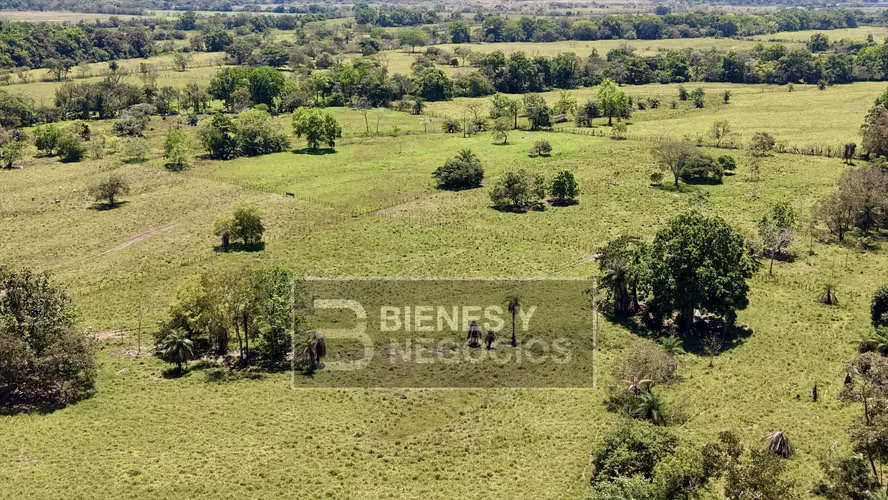 Finca en Chiriqui, Alanje, 50.6 hectáreas, La Pita