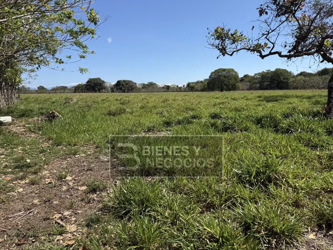 Finca en Chiriqui, Alanje, 50.6 hectáreas, La Pita - Imagen 15