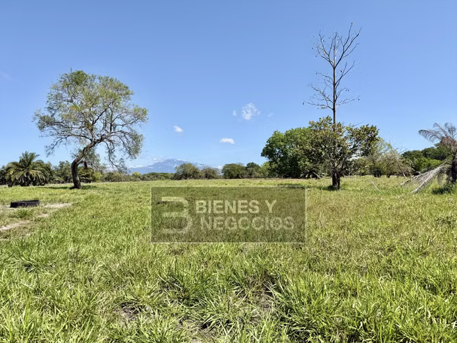 Finca en Chiriqui, Alanje, 50.6 hectáreas, La Pita - Imagen 12