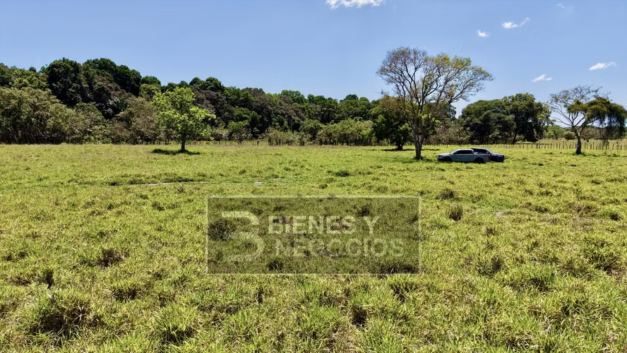 Finca en Chiriqui, Alanje, 50.6 hectáreas, La Pita - Imagen 7