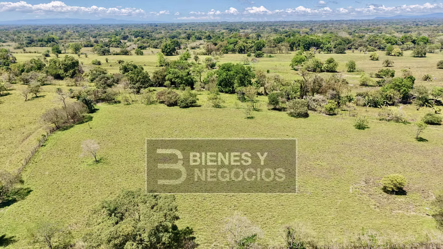 Finca en Chiriqui, Alanje, 50.6 hectáreas, La Pita - Imagen 6