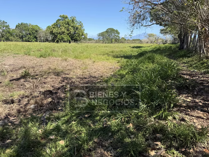 Finca en Chiriqui, Alanje, 50.6 hectáreas, La Pita - Imagen 17