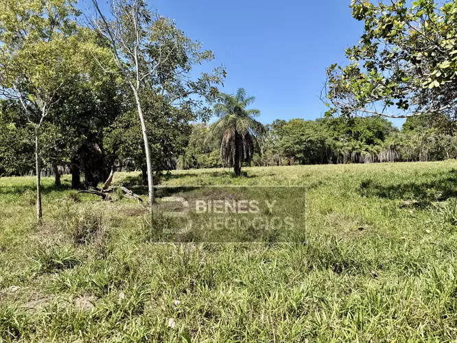 Finca en Chiriqui, Alanje, 50.6 hectáreas, La Pita - Imagen 10