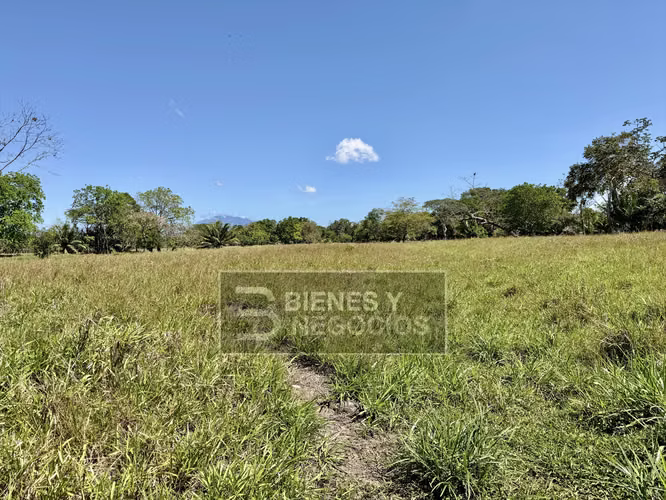 Finca en Chiriqui, Alanje, 50.6 hectáreas, La Pita - Imagen 13