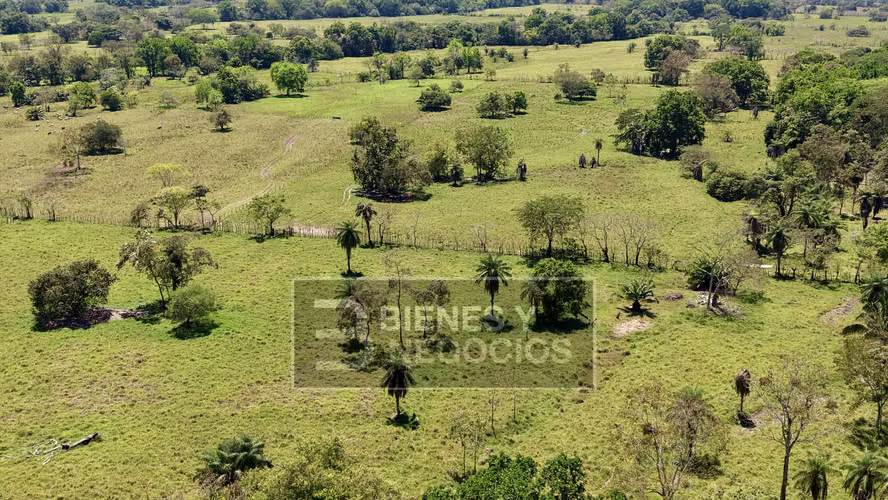 Finca en Chiriqui, Alanje, 50.6 hectáreas, La Pita - Imagen 2