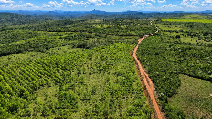 Se vende: 32.8 ha – segregaciones posibles – $12,000/ha – negociables – La Mesa, Veraguas - Imagen 4
