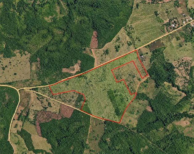 Se vende: 32.8 ha – segregaciones posibles – $12,000/ha – negociables – La Mesa, Veraguas - Imagen 1