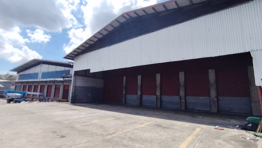 Alquiler de Galera 8000m2 en Milla 8