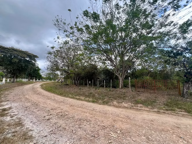 SANTA CLARA FINCA